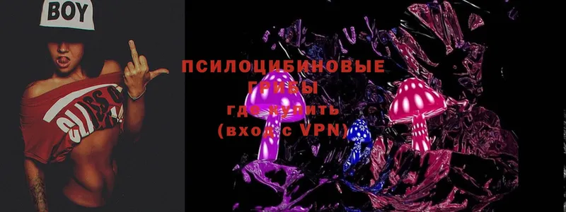 Псилоцибиновые грибы Magic Shrooms  Мончегорск 